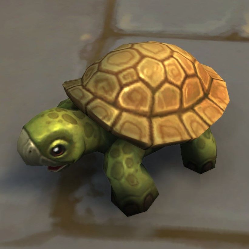 Speedy the turtle, from the Turtle Box