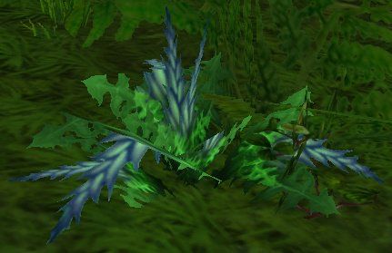 Dreamfoil, a high-level herb from Un'Goro Crater, Azshara and Felwood
