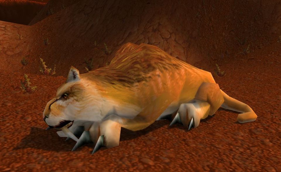 Broken Tooth, the fast-attacking cat of the Badlands