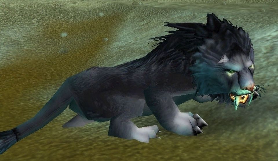 Humar the Pridelord, a rare lion in The Barrens