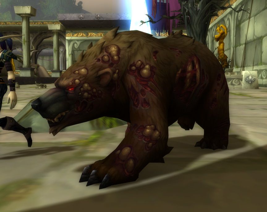 Ferra, Illyanna's plagued bear
