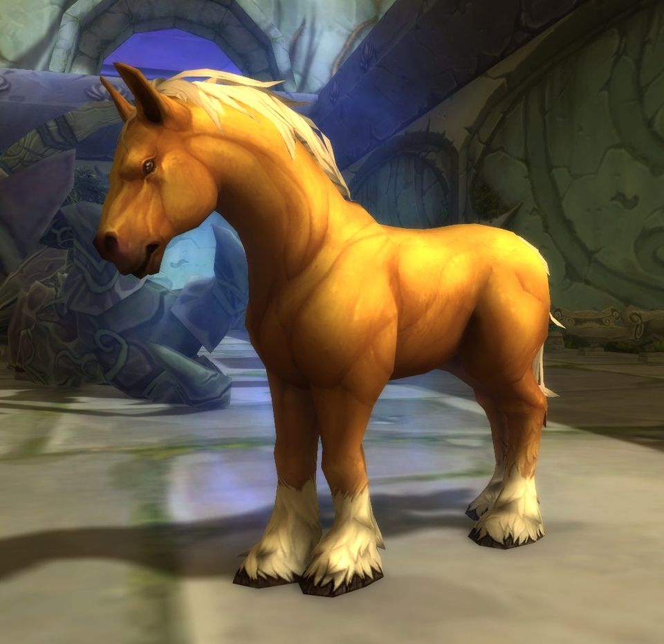 The Ancient Equine Spirit the paladin frees in Scholomance