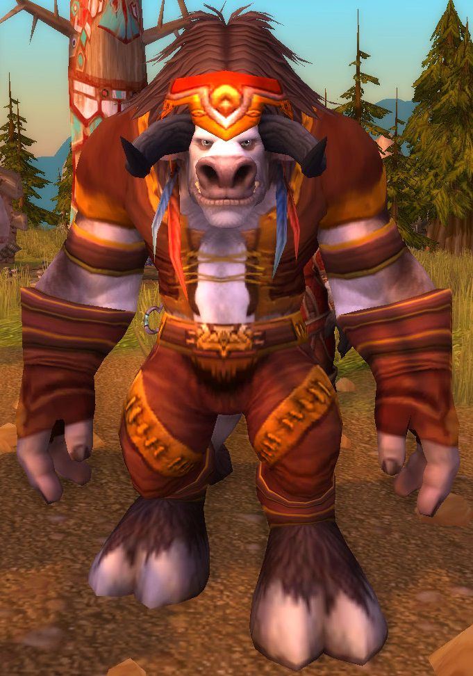 Chief Hawkwind, the leader of Camp Narache
