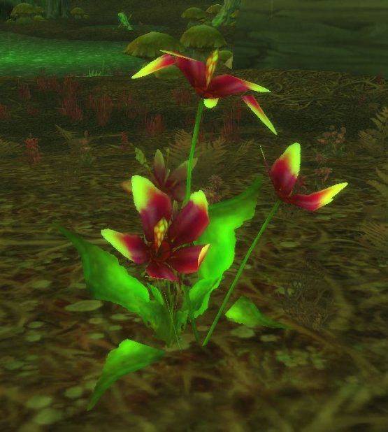 A cleansed songflower in Felwood